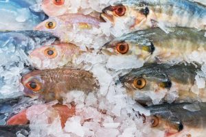 種類に合わせて冷凍・解凍を｜魚の冷凍・解凍・保存方法