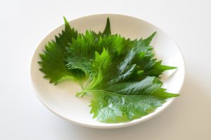 しそを冷凍・保存・解凍調理する方法