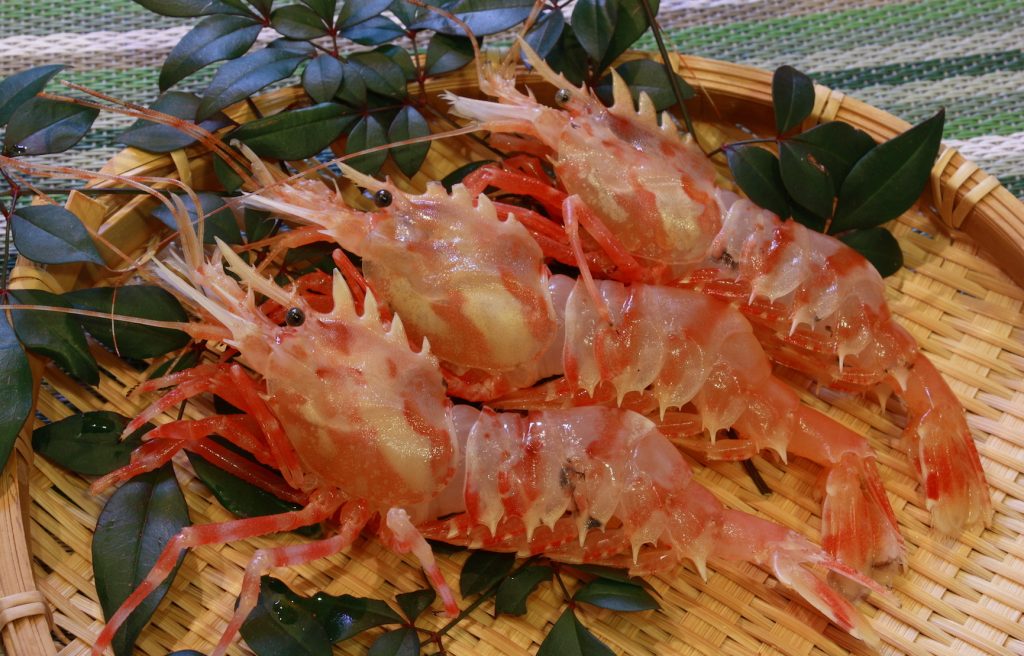 おにえびを冷凍・保存・解凍調理する方法