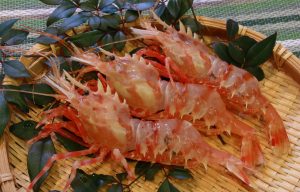 おにえびを冷凍・保存・解凍調理する方法