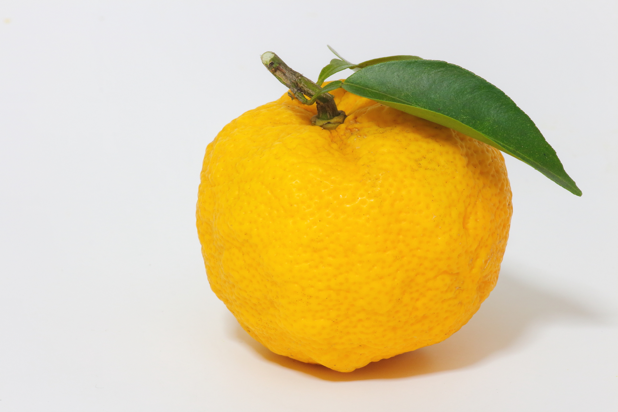 ゆず 柚子 を冷凍 保存 解凍調理する方法 専門家監修の食品冷凍情報サイト おいしい冷凍研究所