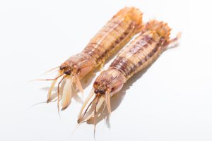 しゃこを冷凍・保存・解凍調理する方法