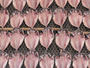 いぼだいを冷凍・保存・解凍調理する方法
