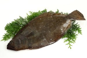 ひらめを冷凍・保存・解凍調理する方法