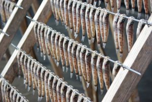 めひかりを冷凍・保存・解凍調理する方法