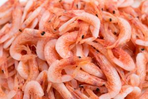 さくらえびを冷凍・保存・解凍調理する方法
