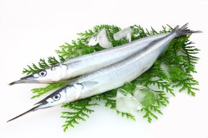 さよりを冷凍・保存・解凍調理する方法