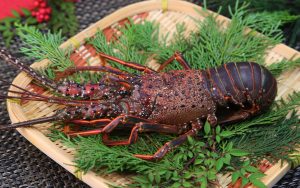 いせえびを冷凍・保存・解凍調理する方法