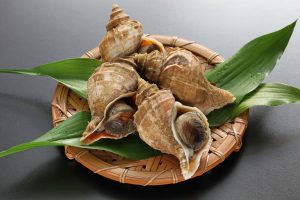 えぞぼらを冷凍・保存・解凍調理する方法