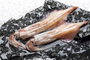 やりいかを冷凍・保存・解凍調理する方法