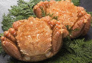 けがにを冷凍・保存・解凍調理する方法