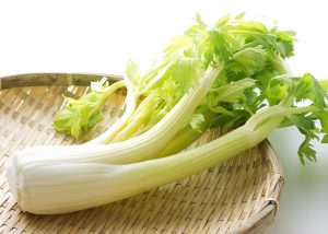 セロリを冷凍・保存・解凍調理する方法