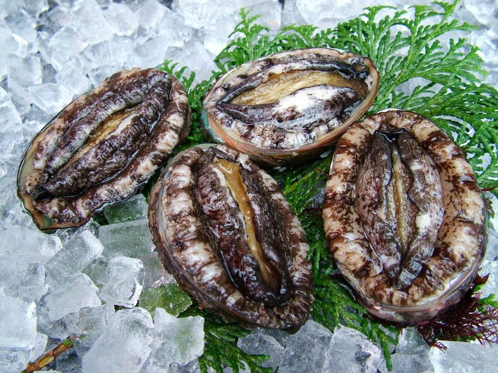 あわびを冷凍・保存・解凍調理する方法