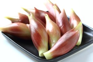 みょうがを冷凍・保存・解凍調理する方法