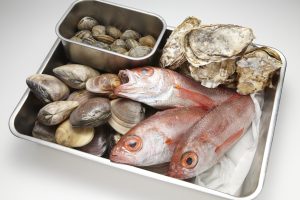 魚介類にオススメ！長期保存できる「氷漬け冷凍」の方法