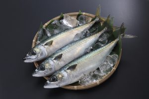 はもを冷凍・保存・解凍調理する方法