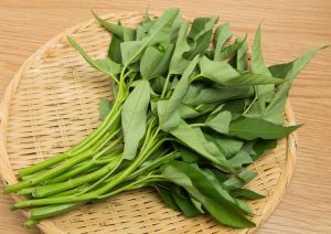 くうしんさい（空心菜）を冷凍・保存・解凍調理する方法