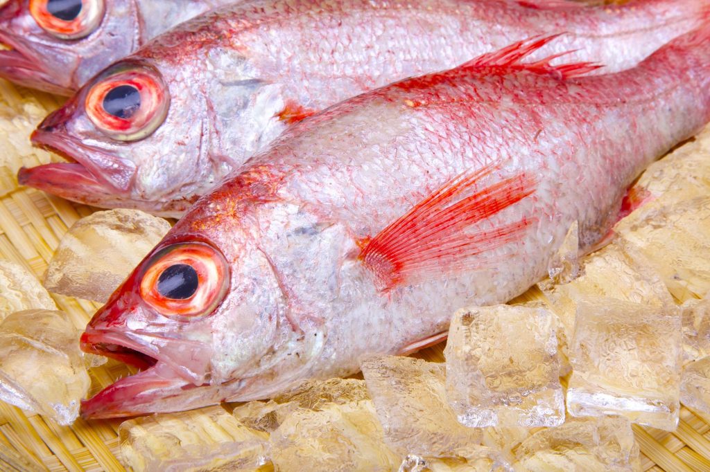 のどぐろ（あかむつ）を冷凍・保存・解凍調理する方法