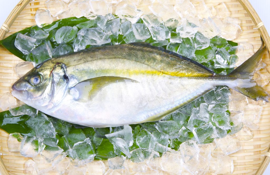 しまあじを冷凍・保存・解凍調理する方法