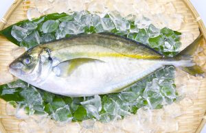しまあじを冷凍・保存・解凍調理する方法