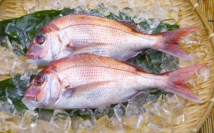ドリップなしでおいしく！刺身用の生魚にぴったりな解凍法