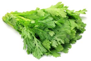 春菊（しゅんぎく）を冷凍・保存・解凍調理する方法