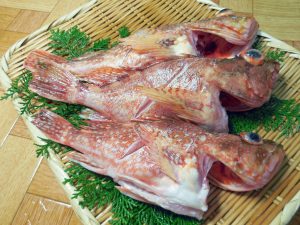 かさごを冷凍・保存・解凍調理する方法